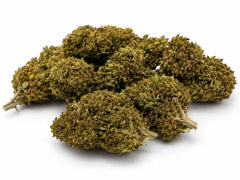 APPLE FRITZER 6.8% CBD - Invernadero