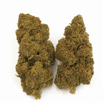 BLUEBERRY 5.24% CBD - Interior