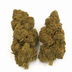 BLUEBERRY 5.24% CBD - Interior