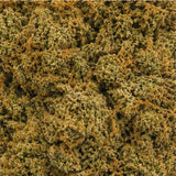 BLUEBERRY 5.24% CBD - Interior