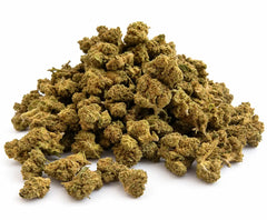 Mini Flores Bubblegum Gelato 14,07% CBD - Glass House