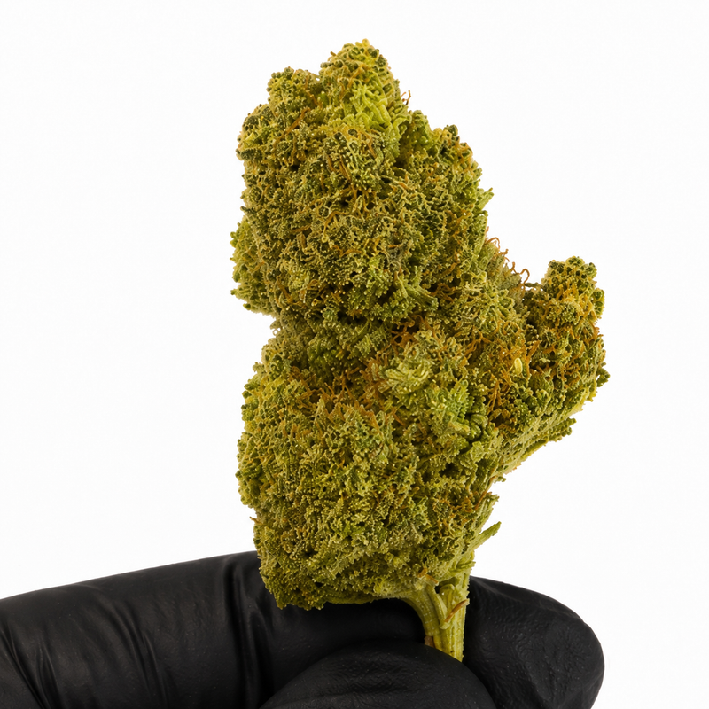ALIEN FRUIT 9.07% CBD - Indoor