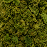 ORANGE LOVE 7.46% CBD - Greenhouse