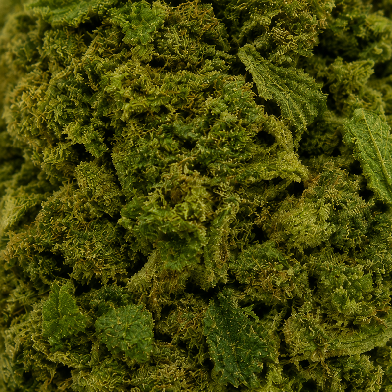 ORANGE LOVE 7.46% CBD - Greenhouse