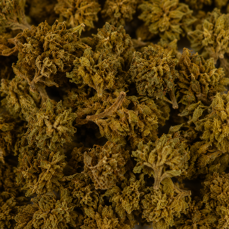 Mini Rainbow Flowers 7.23% CBD - Greenhouse