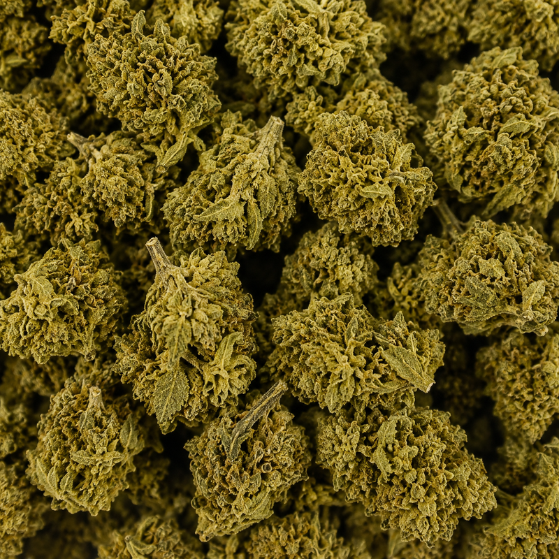 Mini Lemon Skunk Flowers 3.80% CBD - Greenhouse