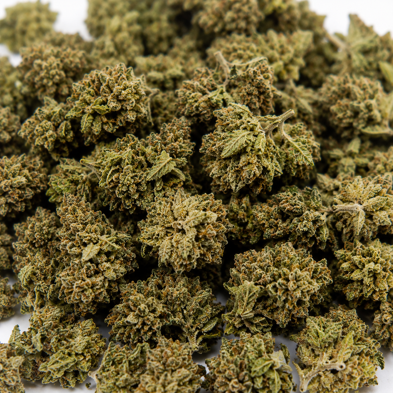 Mini Flowers Pink Haze 13.57% CBD - Greenhouse