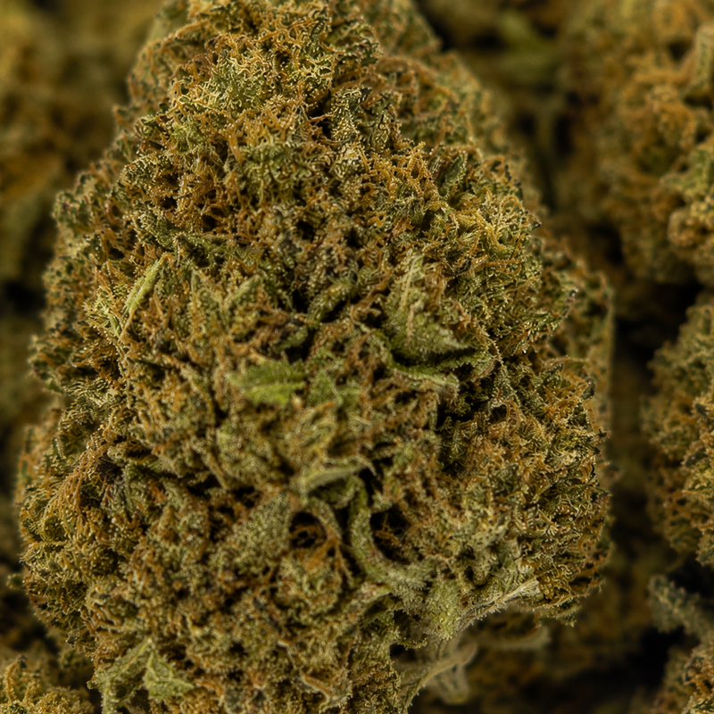 SOUR TANGIE 8% CBD - Greenhouse