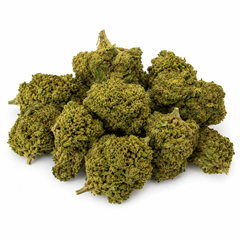 Alien 15,63% CBD - Glass House