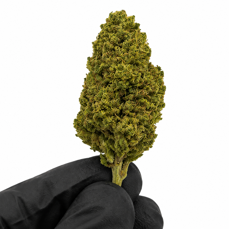Alien 15.63% CBD - Glass House
