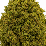 Alien 15.63% CBD - Glass House