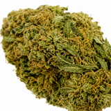 AMNESIA 20.09% CBD - Glass House