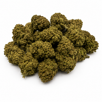 Legendary White 11,23% CBD - Glass House