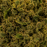 Legendary White 11.23% CBD - Glass House