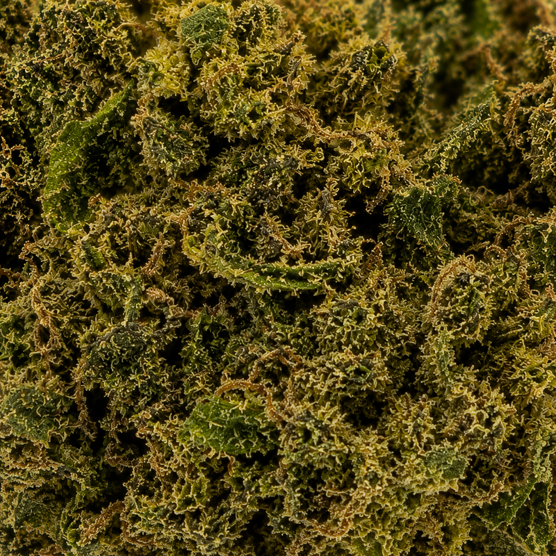 Legendary White 11.23% CBD - Glass House