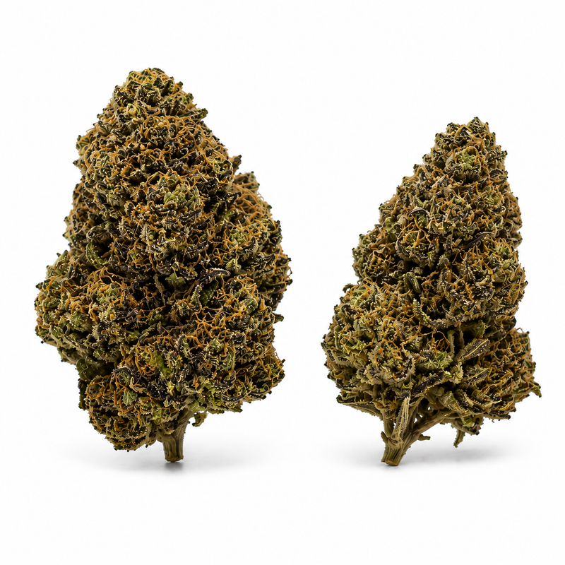 LIME PURPLE 7.79% CBD - Glass House