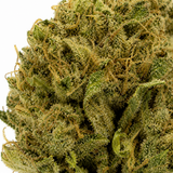 TANGIETONIC 9.24% CBD - Glass House