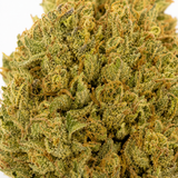 AMNESIA HAZE 20% CBD - Hydroponic Indoor