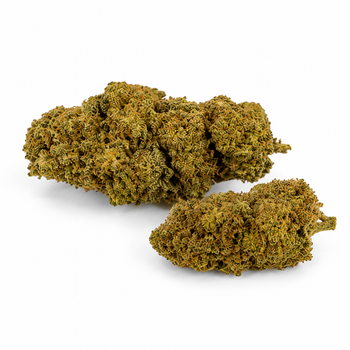 LEMON BUD 5.4% CBD - Interior