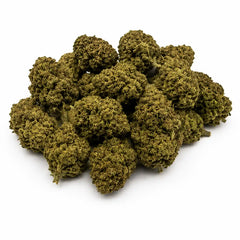 Legendary White 11,23% CBD - Glass House