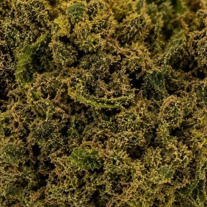 Legendary White 11,23% CBD - Glass House