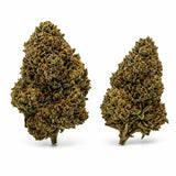LIME PURPLE 7,79% CBD - Glass House
