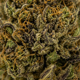 LIME PURPLE 7,79% CBD - Glass House