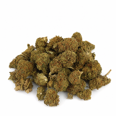 Mini Flores GELATO 4.13% CBD - Interior