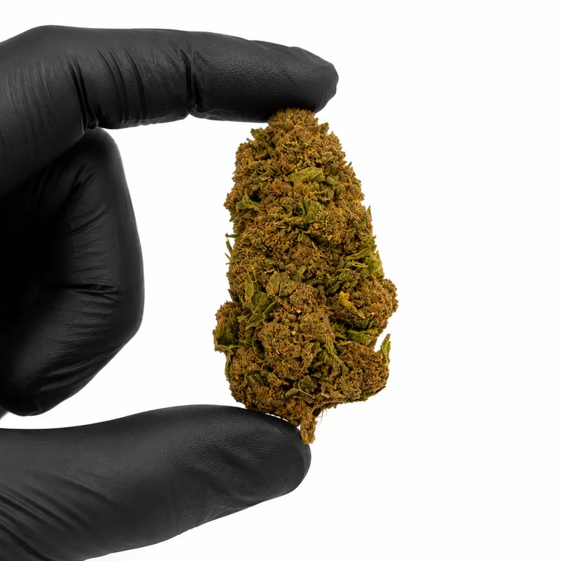 MANGO O.G 12.92% CBD - Glass House