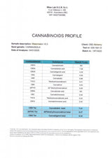 Mini Flowers WATERMELON 7.41% CBD - Glass House