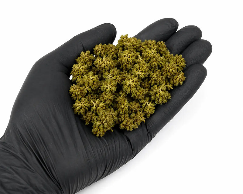 Mini Flores GORILLA 5.19% CBD - Invernadero