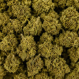 Mini Flores Lemon Skunk 3.80% CBD - Invernadero