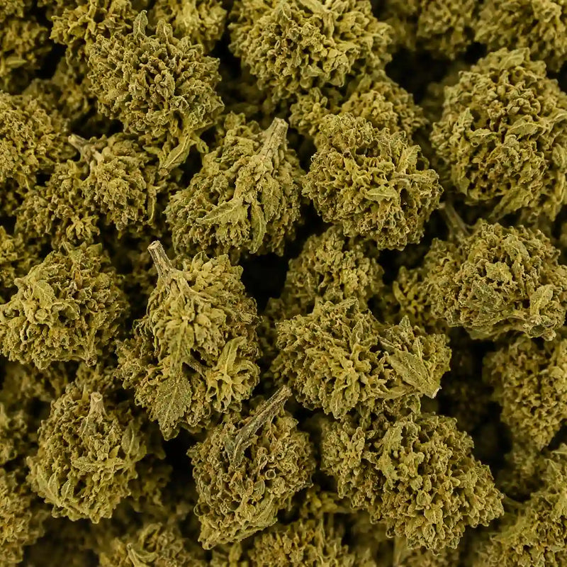 Mini Flores Lemon Skunk 3.80% CBD - Invernadero