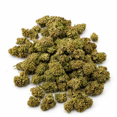 Mini Flores Pink Haze 13.57% CBD - Invernadero