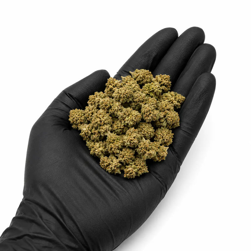 Mini Flores Pink Haze 13.57% CBD - Invernadero