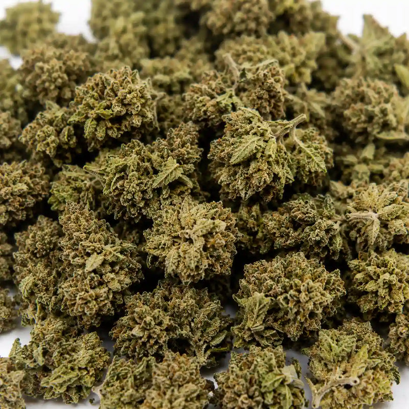 Mini Flores Pink Haze 13.57% CBD - Invernadero