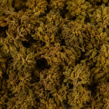 Mini Flores RAINBOW 7.23% CBD - Invernadero