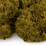 Mini Flores WATERMELON 7.41% CBD - Glass House