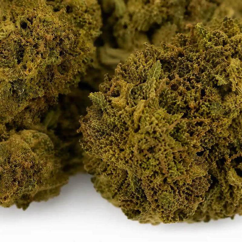 Mini Flores WATERMELON 7.41% CBD - Glass House