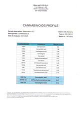 Mini Flores WATERMELON 7.41% CBD - Glass House