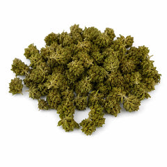 Mini Flores GORILLA 5.19% CBD - Invernadero