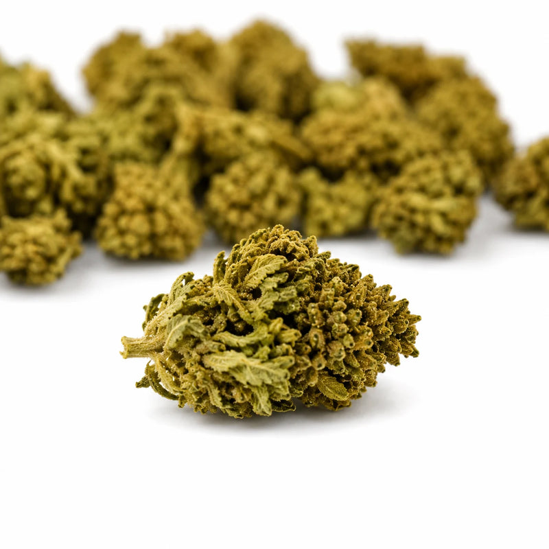 Mini Flores Sour Lifter 12,17% CBD - Interior