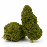 ORANGE LOVE 7.46% CBD - Invernadero