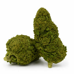 ORANGE LOVE 7.46% CBD - Invernadero