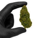 ORANGE LOVE 7.46% CBD - Invernadero