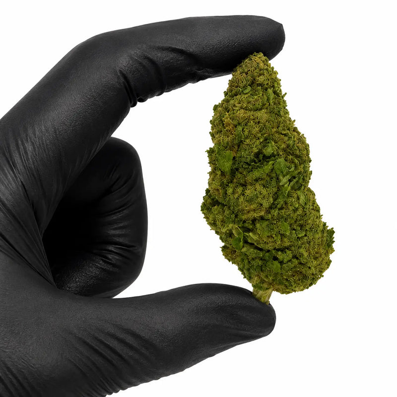 ORANGE LOVE 7.46% CBD - Invernadero