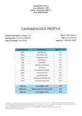 ORANGE LOVE 7.46% CBD - Invernadero