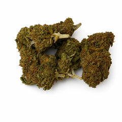 Orange Tonic 3,07% CBD - Glass House