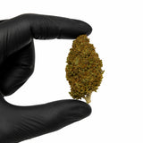 Orange Tonic 3,07% CBD - Glass House
