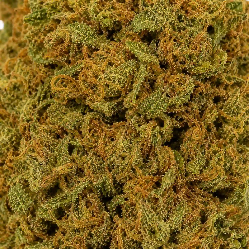 Orange Tonic 3,07% CBD - Glass House